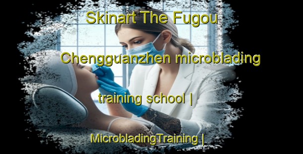 Skinart The Fugou Chengguanzhen microblading training school | MicrobladingTraining | MicrobladingClasses | SkinartTraining-China